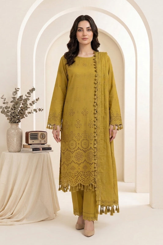 Bareeza Chikankari Des-06