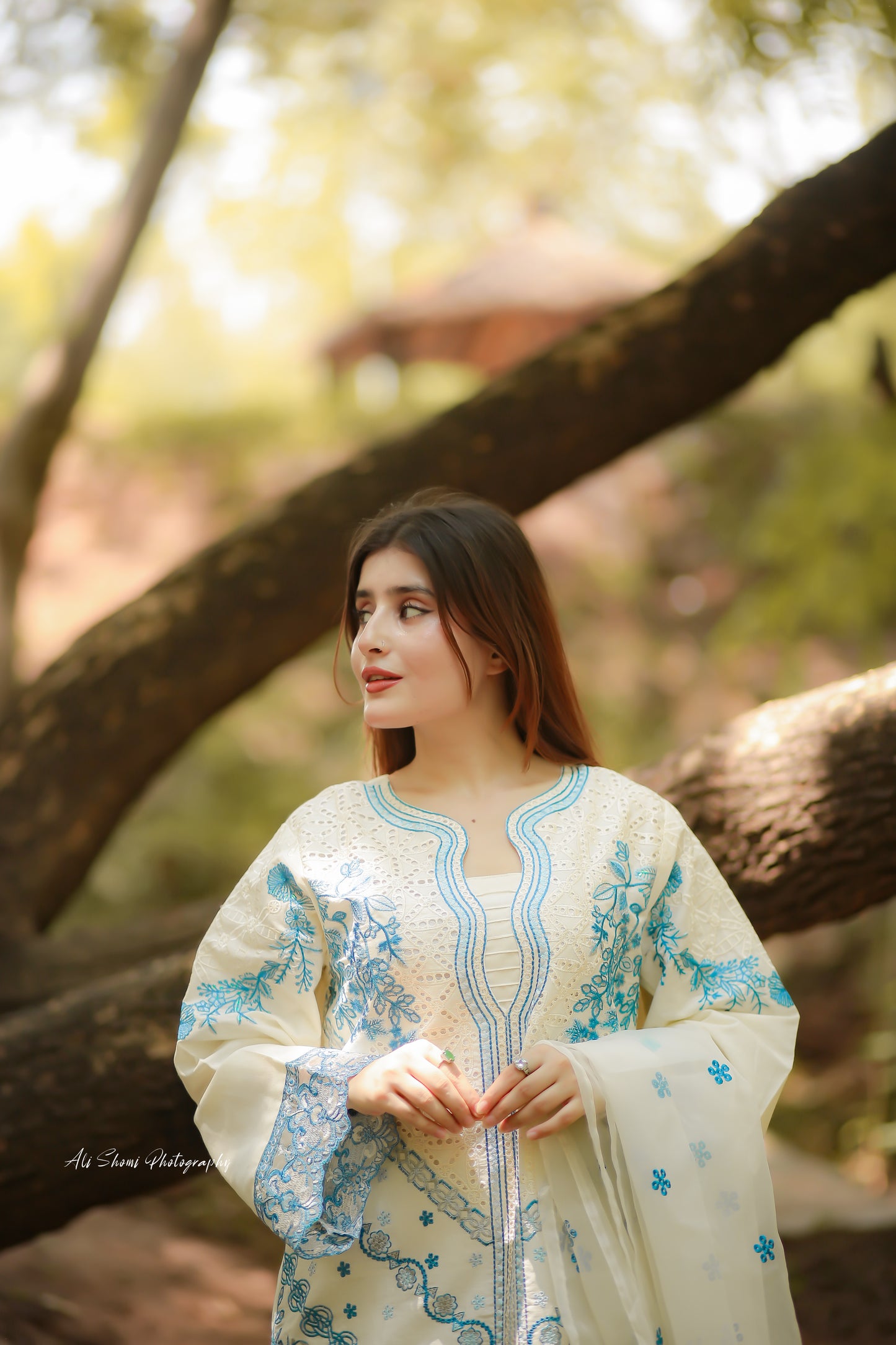 Nayaab 3pc