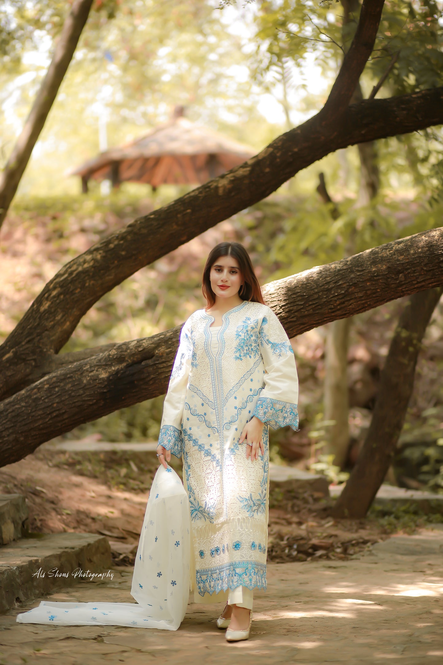 Nayaab 3pc